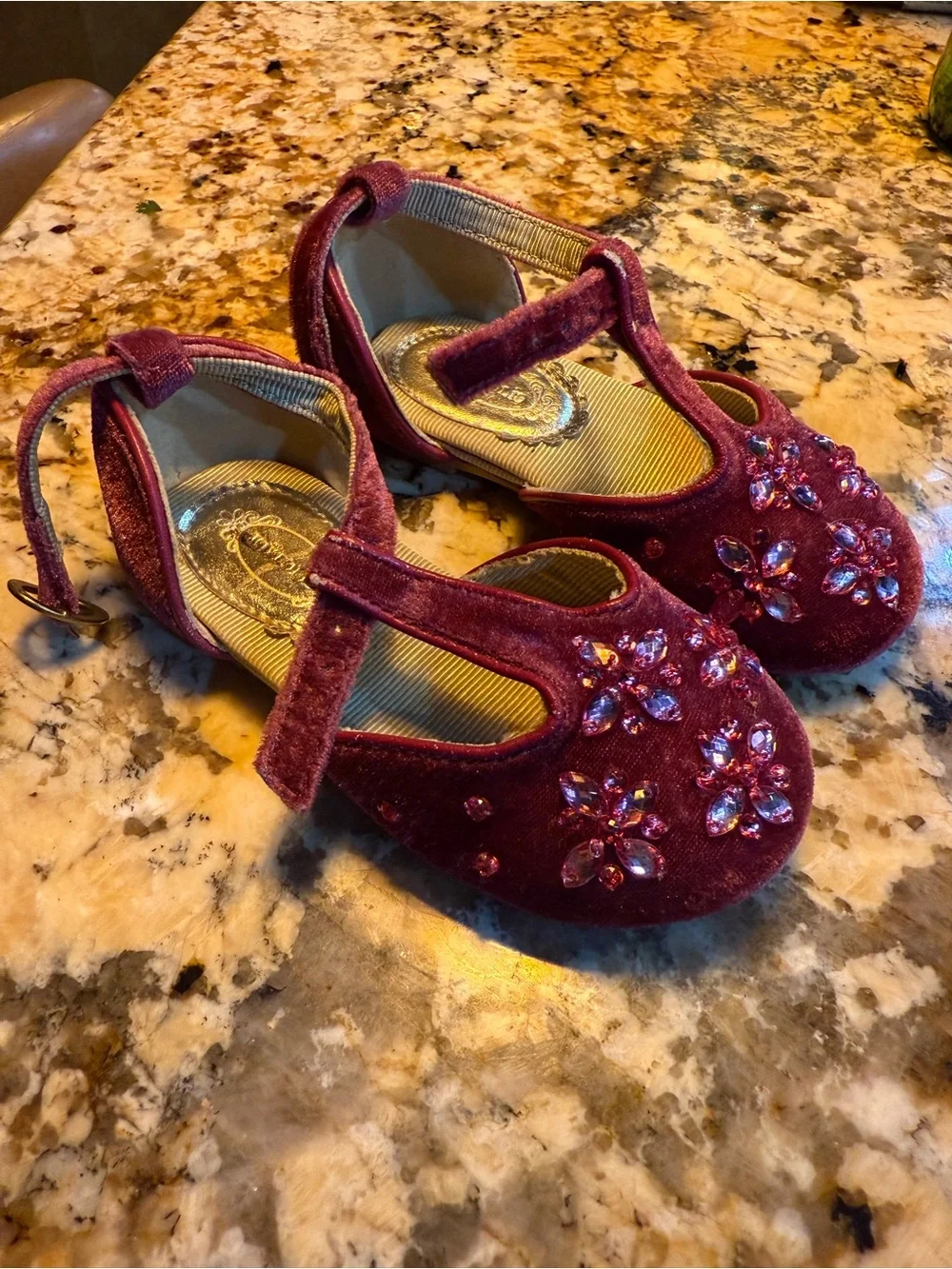 Joyfolie Girls Maroon Velvet Mary Janes with Pink Gem Flower Accents